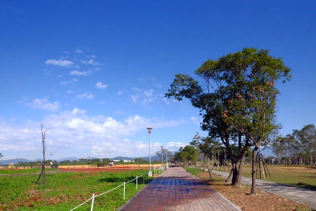 2016台中國際花毯節┃后里花田綠廊：花現新樂園~活動時間、活動日期、交通路線、活動主題、活動地點、詳細資訊&hellip; @飛天璇的口袋
