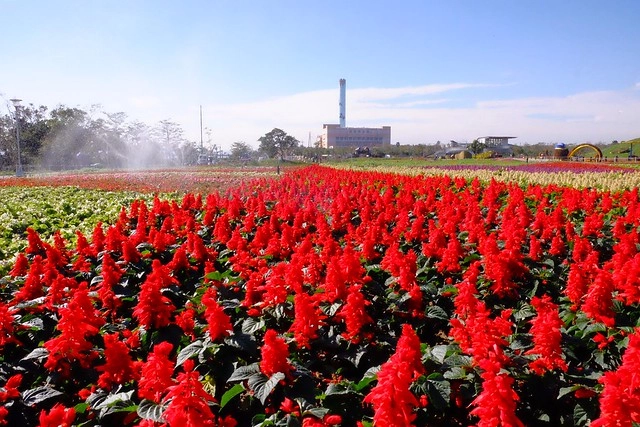 2016台中國際花毯節┃后里花田綠廊：花現新樂園~活動時間、活動日期、交通路線、活動主題、活動地點、詳細資訊&hellip; @飛天璇的口袋