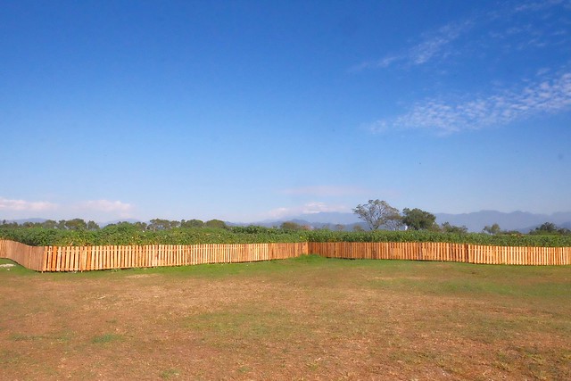 2016台中國際花毯節┃后里花田綠廊：花現新樂園~活動時間、活動日期、交通路線、活動主題、活動地點、詳細資訊&hellip; @飛天璇的口袋