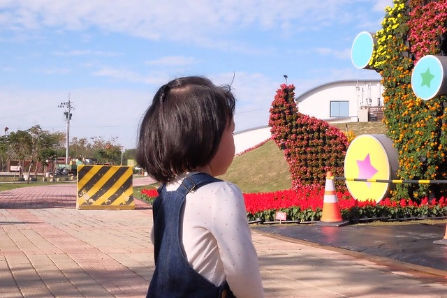 2016台中國際花毯節┃后里花田綠廊：花現新樂園~活動時間、活動日期、交通路線、活動主題、活動地點、詳細資訊&hellip; @飛天璇的口袋