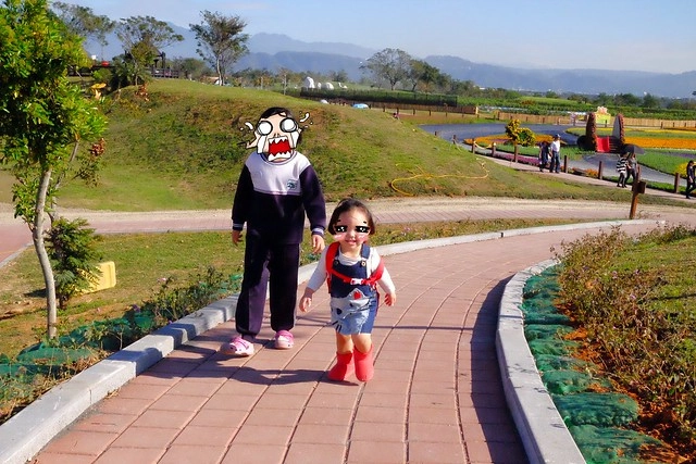 2016台中國際花毯節┃后里花田綠廊：花現新樂園~活動時間、活動日期、交通路線、活動主題、活動地點、詳細資訊&hellip; @飛天璇的口袋