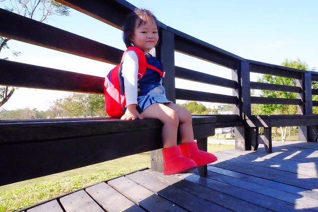 2016台中國際花毯節┃后里花田綠廊：花現新樂園~活動時間、活動日期、交通路線、活動主題、活動地點、詳細資訊&hellip; @飛天璇的口袋