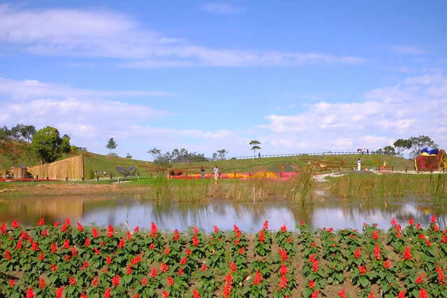 2016台中國際花毯節┃后里花田綠廊：花現新樂園~活動時間、活動日期、交通路線、活動主題、活動地點、詳細資訊&hellip; @飛天璇的口袋