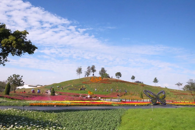 2016台中國際花毯節┃后里花田綠廊：花現新樂園~活動時間、活動日期、交通路線、活動主題、活動地點、詳細資訊&hellip; @飛天璇的口袋