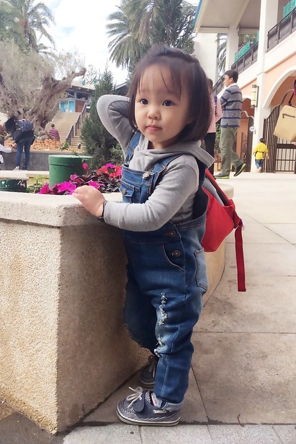 雀巢能恩水解成長配方┃小櫻桃的換奶我推薦雀巢能恩水解成長配方，台灣小兒科醫師推薦最多臨床實證水解配方第一品牌 @飛天璇的口袋