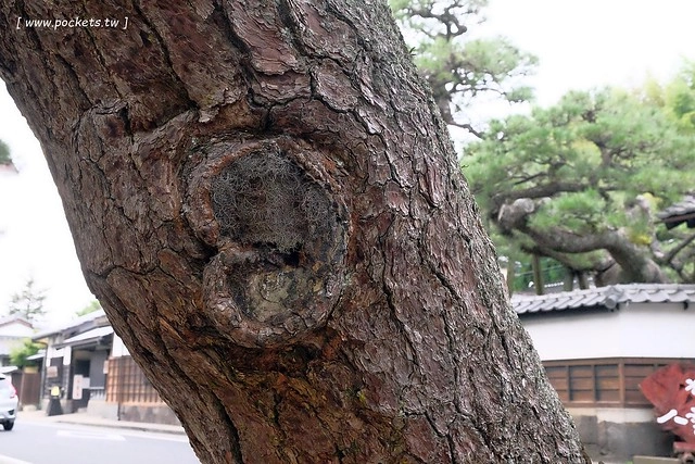 日本島根｜松江市半日遊．武家屋敷、塩見繩手、塩見茶屋下午茶、松江城、島根美術館(夕陽、夜景、結緣兔) @飛天璇的口袋