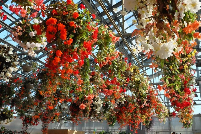 【日本三重】名花之里．なばなの里~日本冬季最大燈海，冬季百萬點燈活動(附從榮町到長島溫泉outlet的交通方式) @飛天璇的口袋