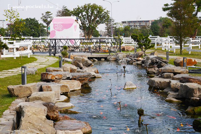 雲林崙背｜千巧谷牛樂園牧場：結合沙坑、餵魚、美食、牧場，適合親子旅遊的地點 @飛天璇的口袋