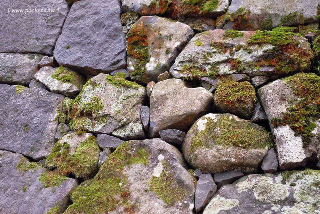 日本島根｜松江市半日遊．武家屋敷、塩見繩手、塩見茶屋下午茶、松江城、島根美術館(夕陽、夜景、結緣兔) @飛天璇的口袋