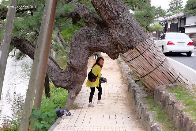 日本島根｜松江市半日遊．武家屋敷、塩見繩手、塩見茶屋下午茶、松江城、島根美術館(夕陽、夜景、結緣兔) @飛天璇的口袋
