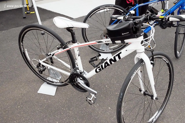 日本島根｜松江市半日遊．武家屋敷、塩見繩手、塩見茶屋下午茶、松江城、島根美術館(夕陽、夜景、結緣兔) @飛天璇的口袋