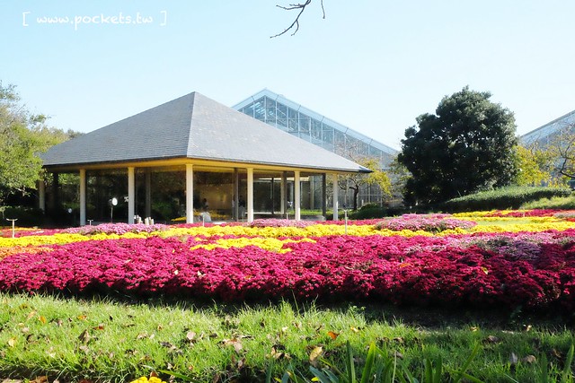 【日本三重】名花之里．なばなの里~日本冬季最大燈海，冬季百萬點燈活動(附從榮町到長島溫泉outlet的交通方式) @飛天璇的口袋