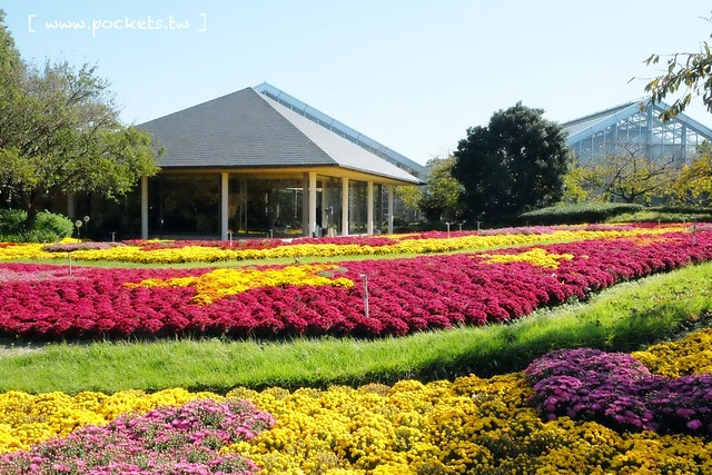 【日本三重】名花之里．なばなの里~日本冬季最大燈海，冬季百萬點燈活動(附從榮町到長島溫泉outlet的交通方式) @飛天璇的口袋