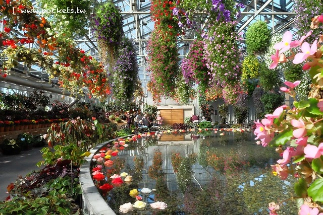 【日本三重】名花之里．なばなの里~日本冬季最大燈海，冬季百萬點燈活動(附從榮町到長島溫泉outlet的交通方式) @飛天璇的口袋