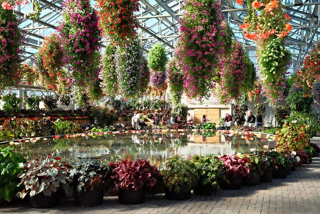 【日本三重】名花之里．なばなの里~日本冬季最大燈海，冬季百萬點燈活動(附從榮町到長島溫泉outlet的交通方式) @飛天璇的口袋