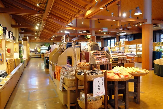 【日本三重】名花之里．なばなの里~日本冬季最大燈海，冬季百萬點燈活動(附從榮町到長島溫泉outlet的交通方式) @飛天璇的口袋