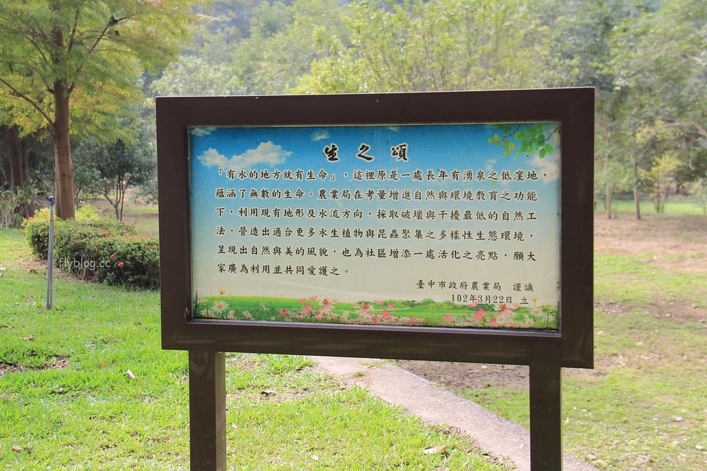 台中太平｜太平苗圃落羽松．依山傍水湖光倒影，太平落羽松秘境 @飛天璇的口袋