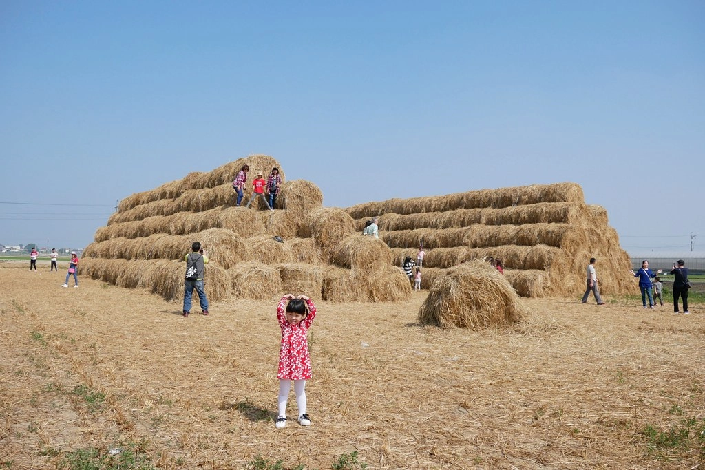 稻草捲心酥：草地上巨型咖啡捲心酥，IG打卡熱門景點，嘉義新港就有哦！ @飛天璇的口袋