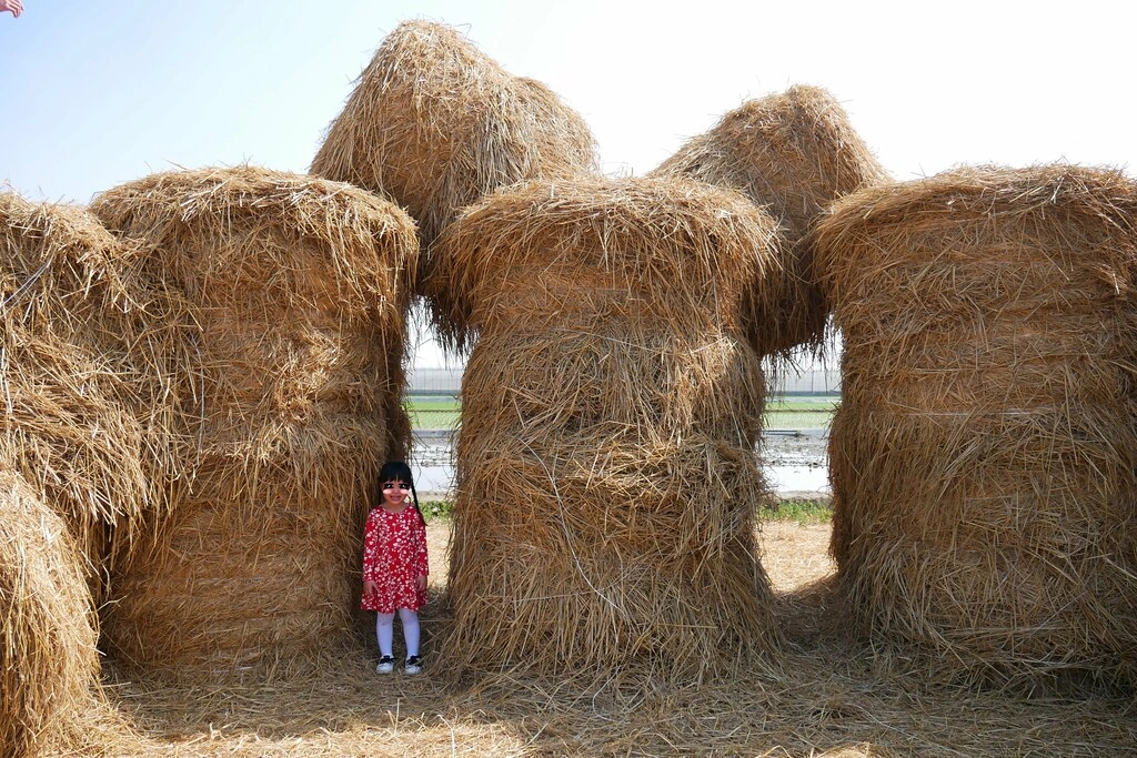 稻草捲心酥：草地上巨型咖啡捲心酥，IG打卡熱門景點，嘉義新港就有哦！ @飛天璇的口袋