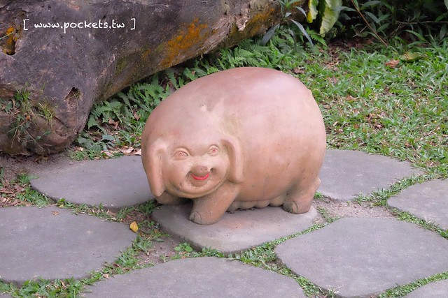 台中新社｜桃李河畔．新社著名景觀餐廳，浪漫森林玻璃屋 @飛天璇的口袋