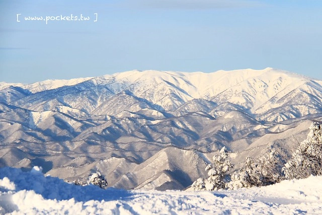 南會津樹冰＆霧冰山頂之旅┃福島旅遊景點：奧會津搭乘雪車賞樹冰、晨霧和初曉，零下十度令人嘆為觀止的美景 @飛天璇的口袋