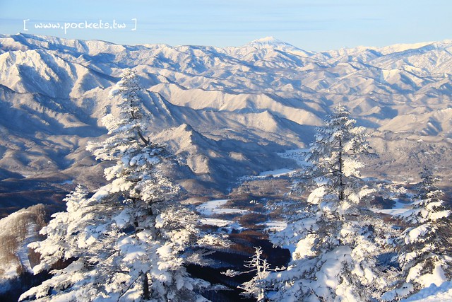 南會津樹冰＆霧冰山頂之旅┃福島旅遊景點：奧會津搭乘雪車賞樹冰、晨霧和初曉，零下十度令人嘆為觀止的美景 @飛天璇的口袋