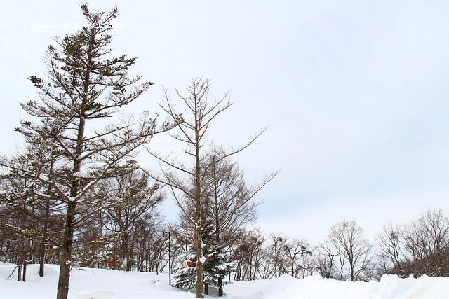 南會津樹冰＆霧冰山頂之旅┃福島旅遊景點：奧會津搭乘雪車賞樹冰、晨霧和初曉，零下十度令人嘆為觀止的美景 @飛天璇的口袋