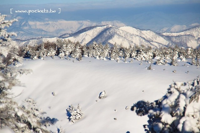南會津樹冰＆霧冰山頂之旅┃福島旅遊景點：奧會津搭乘雪車賞樹冰、晨霧和初曉，零下十度令人嘆為觀止的美景 @飛天璇的口袋