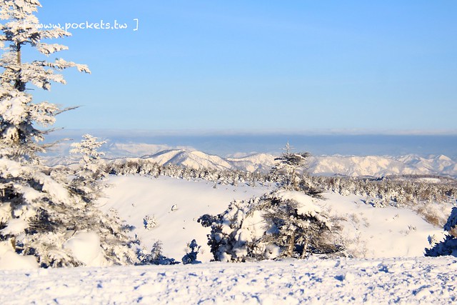 南會津樹冰＆霧冰山頂之旅┃福島旅遊景點：奧會津搭乘雪車賞樹冰、晨霧和初曉，零下十度令人嘆為觀止的美景 @飛天璇的口袋