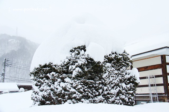 福島前澤曲家集落：南會津町傳統建築物保存地區，不被世界遺忘的絕美秘境 @飛天璇的口袋