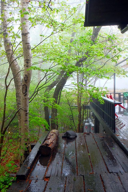 日本山梨｜八ヶ岳倶樂部 Yatsugatake Club．清里如夢似幻的山中咖啡館，日本藝人柳生真吾所開設 @飛天璇的口袋