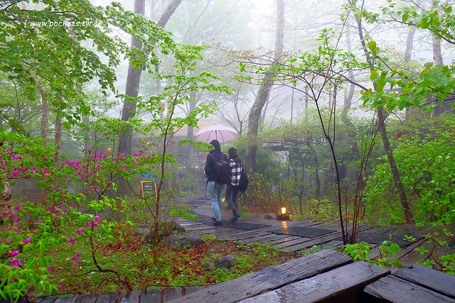 日本山梨｜八ヶ岳倶樂部 Yatsugatake Club．清里如夢似幻的山中咖啡館，日本藝人柳生真吾所開設 @飛天璇的口袋