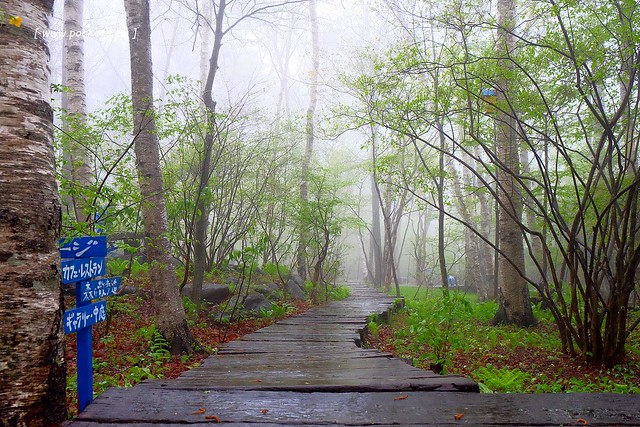 日本山梨｜八ヶ岳倶樂部 Yatsugatake Club．清里如夢似幻的山中咖啡館，日本藝人柳生真吾所開設 @飛天璇的口袋