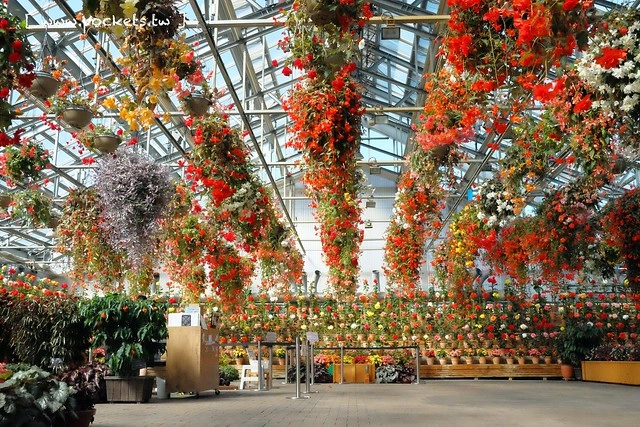 【日本三重】名花之里．なばなの里~日本冬季最大燈海，冬季百萬點燈活動(附從榮町到長島溫泉outlet的交通方式) @飛天璇的口袋