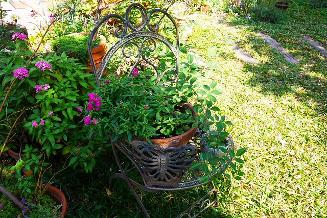 Yokoneco松鼠食堂．リスの食堂┃台中西區美食：只接受FB預約的隱密餐廳，結合花藝和美食，餐點走的是家常味 @飛天璇的口袋