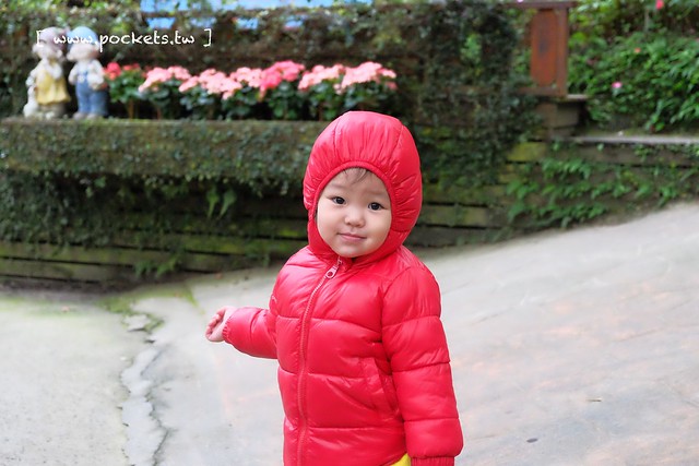 台中新社｜桃李河畔．新社著名景觀餐廳，浪漫森林玻璃屋 @飛天璇的口袋