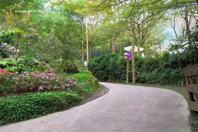 台中新社｜桃李河畔．新社著名景觀餐廳，浪漫森林玻璃屋 @飛天璇的口袋