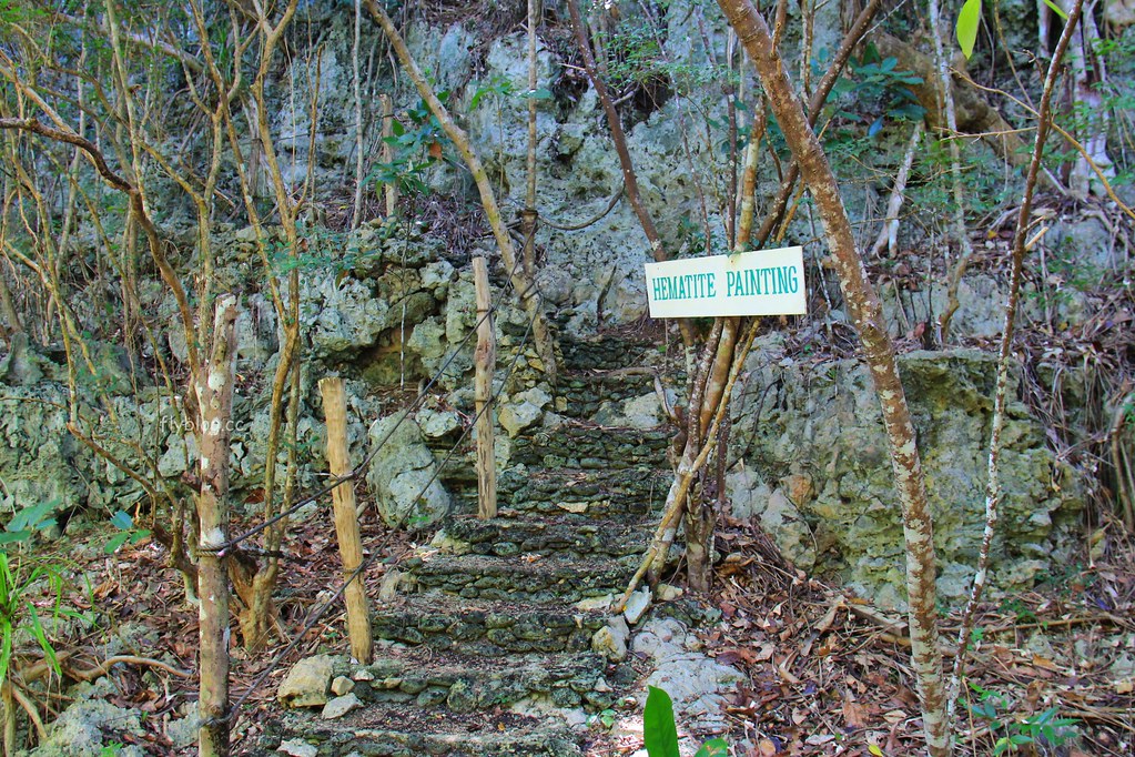 Lamanok Island┃薄荷島景點：薄荷島超隱密生態小島，享受不一樣的生態之旅 @飛天璇的口袋