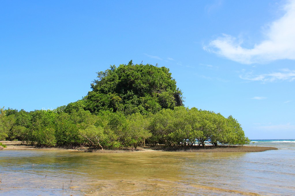 Lamanok Island┃薄荷島景點：薄荷島超隱密生態小島，享受不一樣的生態之旅 @飛天璇的口袋