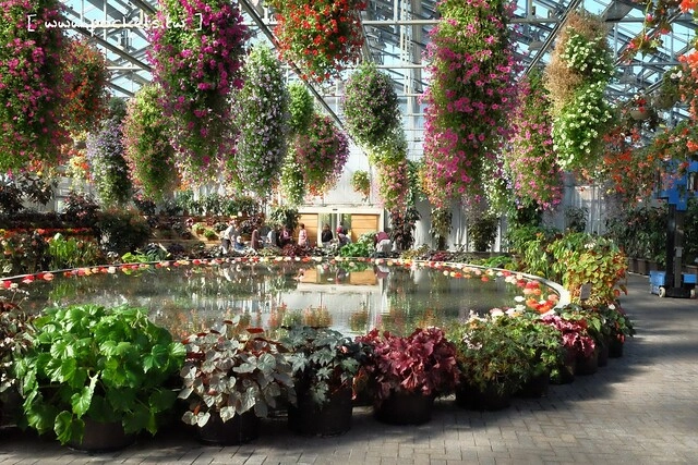 【日本三重】名花之里．なばなの里~日本冬季最大燈海，冬季百萬點燈活動(附從榮町到長島溫泉outlet的交通方式) @飛天璇的口袋