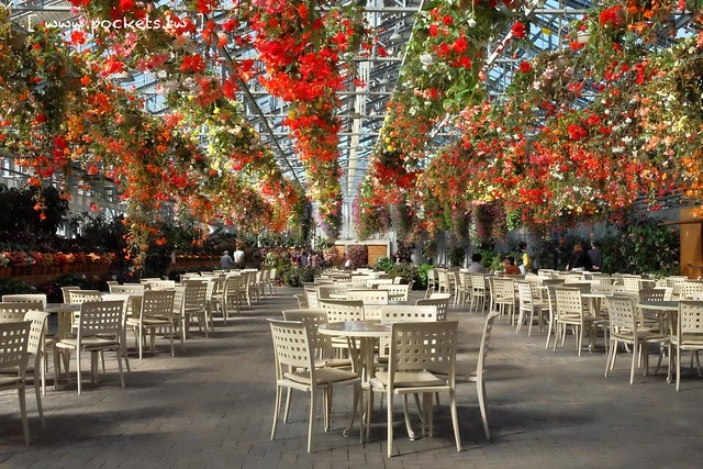 【日本三重】名花之里．なばなの里~日本冬季最大燈海，冬季百萬點燈活動(附從榮町到長島溫泉outlet的交通方式) @飛天璇的口袋