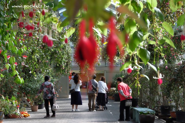 【日本三重】名花之里．なばなの里~日本冬季最大燈海，冬季百萬點燈活動(附從榮町到長島溫泉outlet的交通方式) @飛天璇的口袋