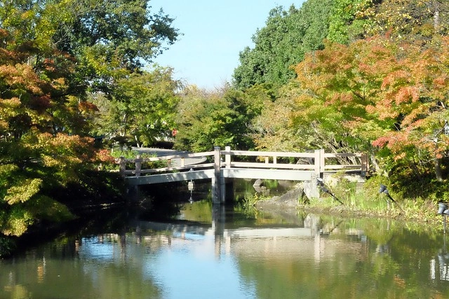 【日本三重】名花之里．なばなの里~日本冬季最大燈海，冬季百萬點燈活動(附從榮町到長島溫泉outlet的交通方式) @飛天璇的口袋