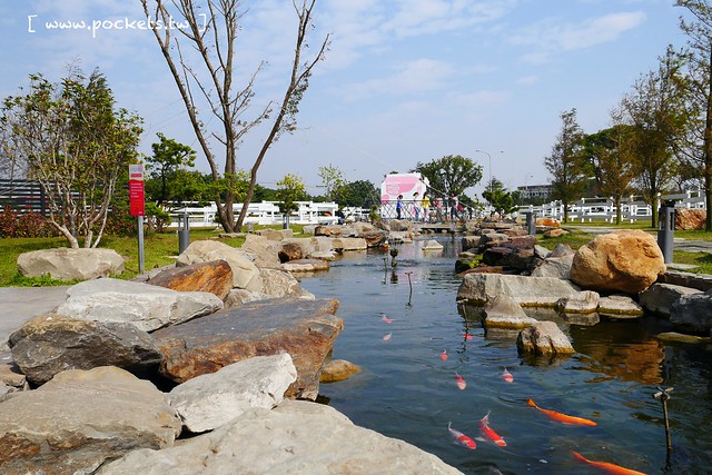 雲林崙背｜千巧谷牛樂園牧場：結合沙坑、餵魚、美食、牧場，適合親子旅遊的地點 @飛天璇的口袋