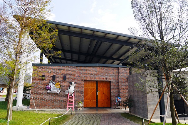 雲林崙背｜千巧谷牛樂園牧場：結合沙坑、餵魚、美食、牧場，適合親子旅遊的地點 @飛天璇的口袋