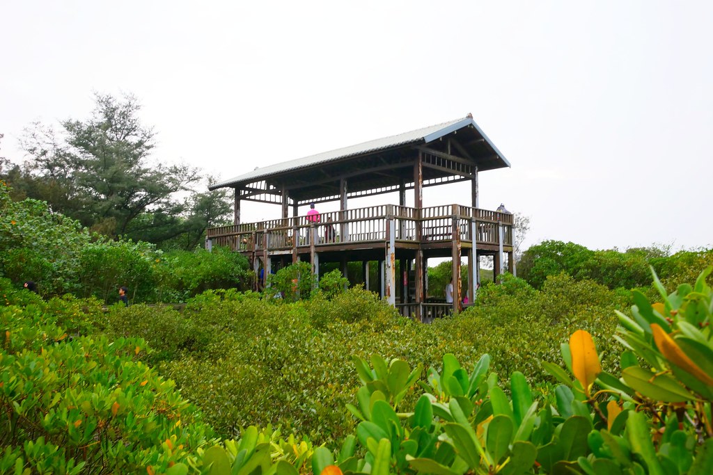 【新竹新豐】新豐紅樹林綠色步道：兼具休閒與觀光的生態保護區，走在被大自然包圍的綠色小隧道 @飛天璇的口袋