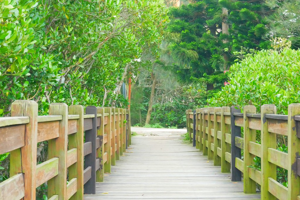 【新竹新豐】新豐紅樹林綠色步道：兼具休閒與觀光的生態保護區，走在被大自然包圍的綠色小隧道 @飛天璇的口袋