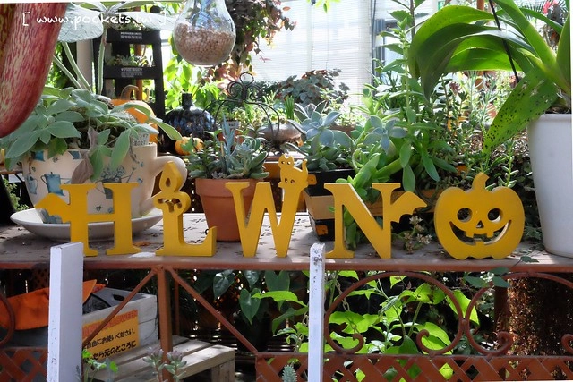 【日本三重】名花之里．なばなの里~日本冬季最大燈海，冬季百萬點燈活動(附從榮町到長島溫泉outlet的交通方式) @飛天璇的口袋