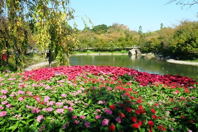 【日本三重】名花之里．なばなの里~日本冬季最大燈海，冬季百萬點燈活動(附從榮町到長島溫泉outlet的交通方式) @飛天璇的口袋