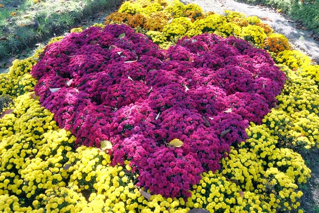 【日本三重】名花之里．なばなの里~日本冬季最大燈海，冬季百萬點燈活動(附從榮町到長島溫泉outlet的交通方式) @飛天璇的口袋